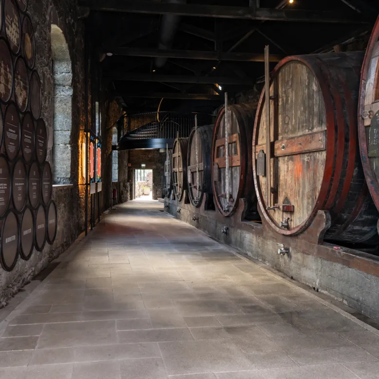 Burmester cellars