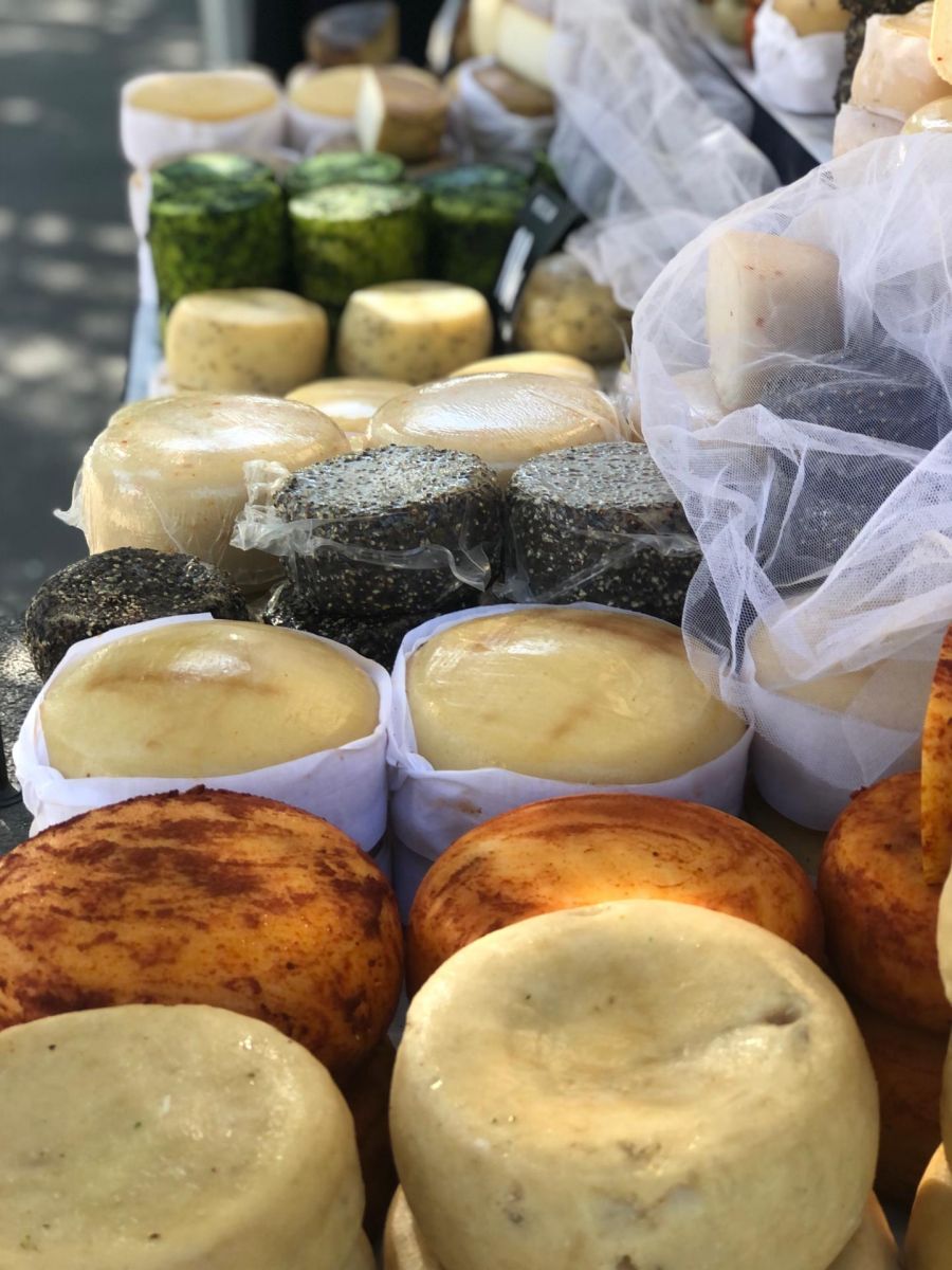 Que Queijo