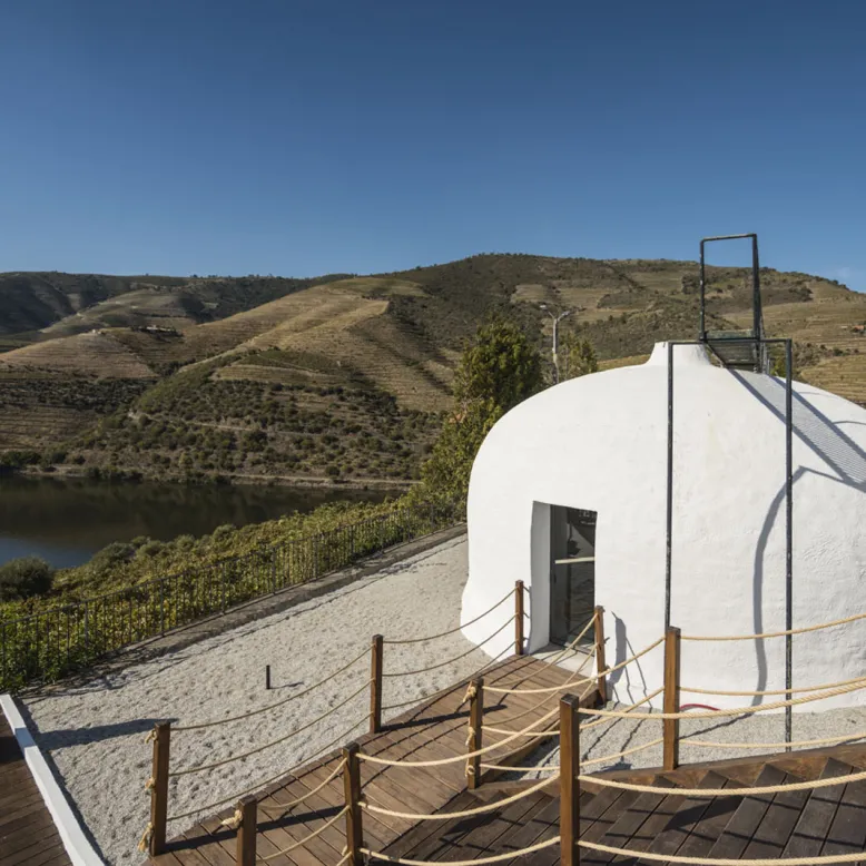 Quinta de São Luiz - The Vine House