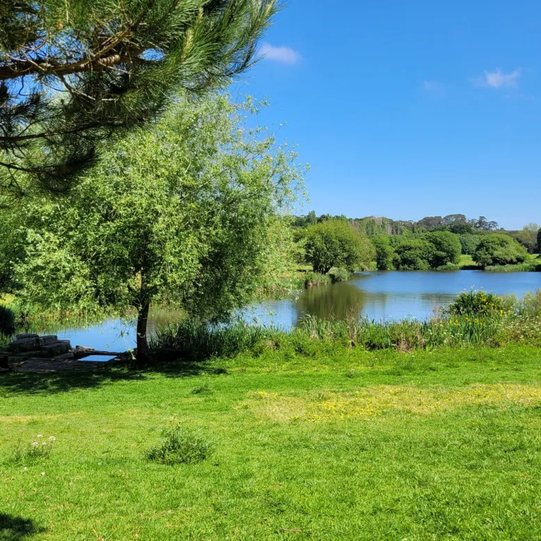Parc municipal de Porto