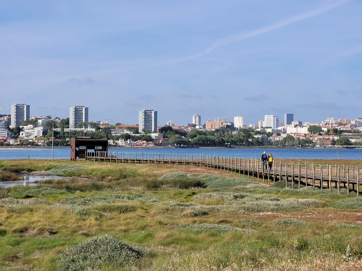 Nature reserve footbridge