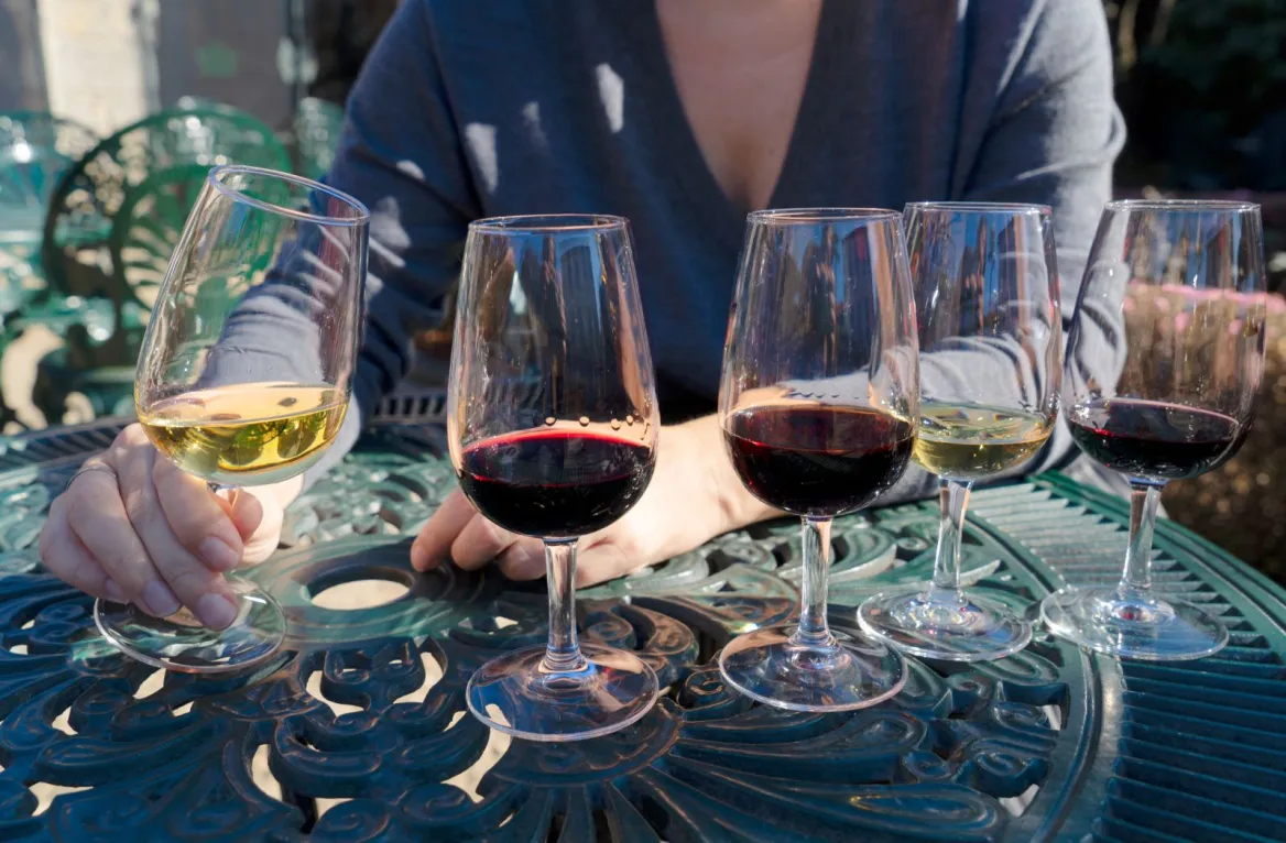 What to do in Porto in autumn