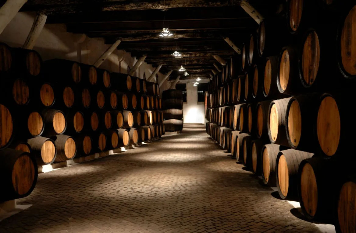 port wine cellar