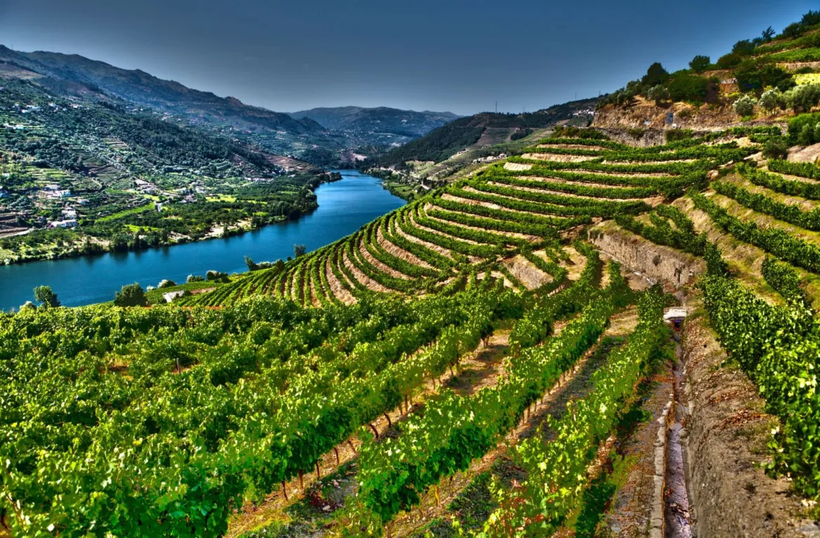 Douro Valley