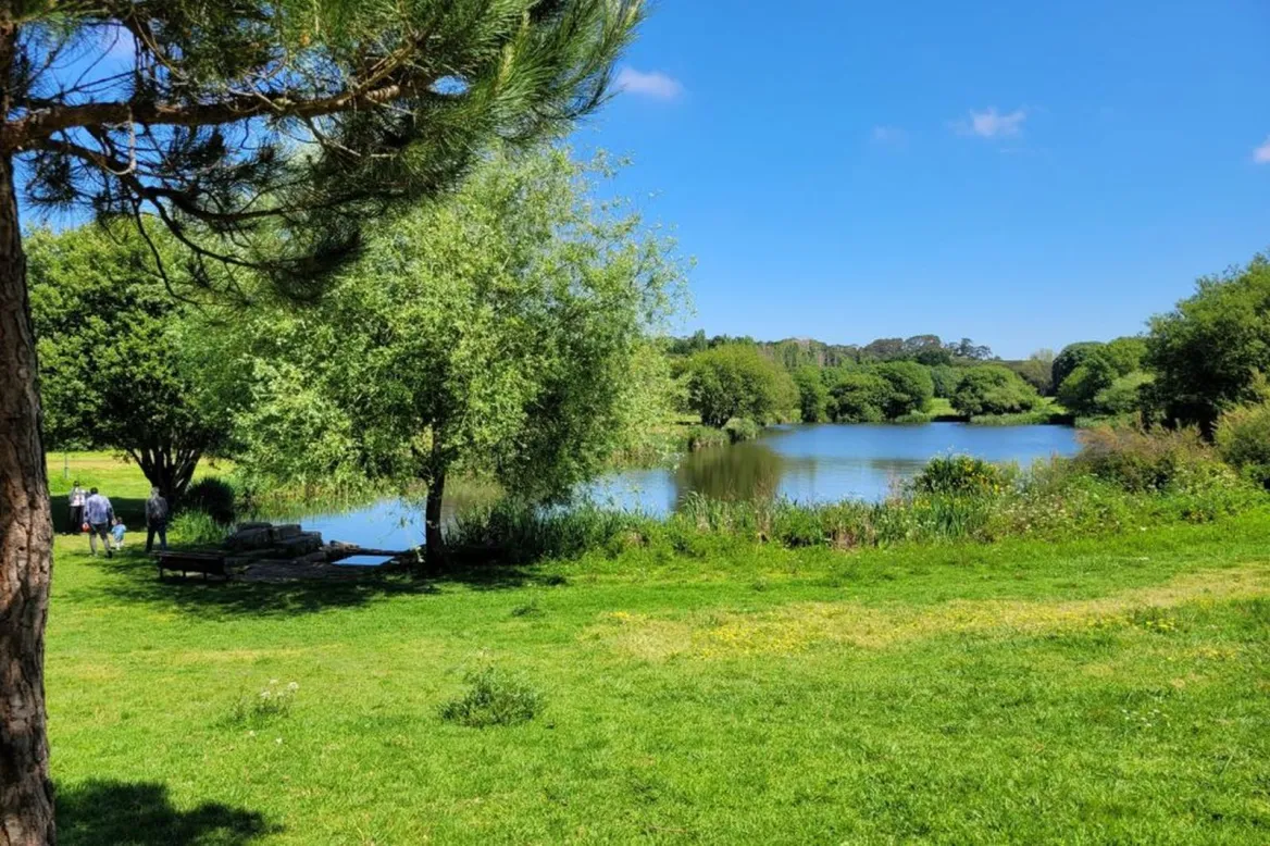 Parc de la ville de Porto