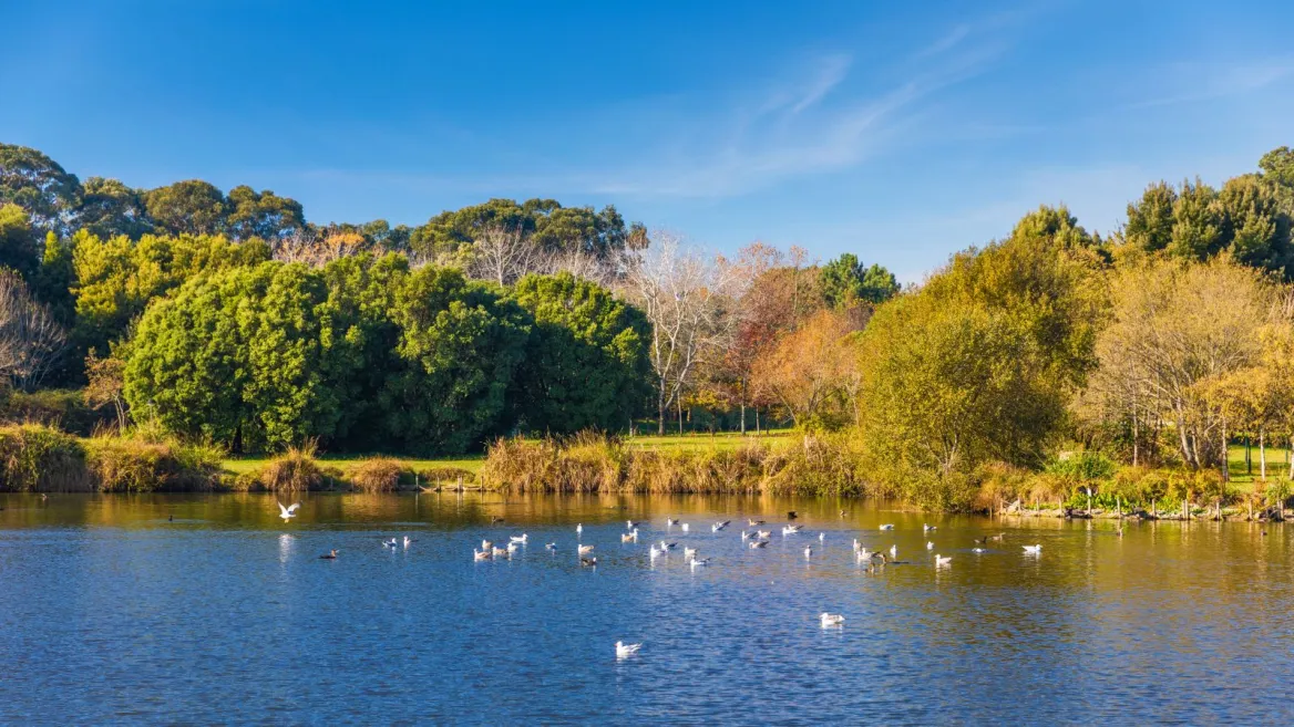 Parc de la ville de Porto