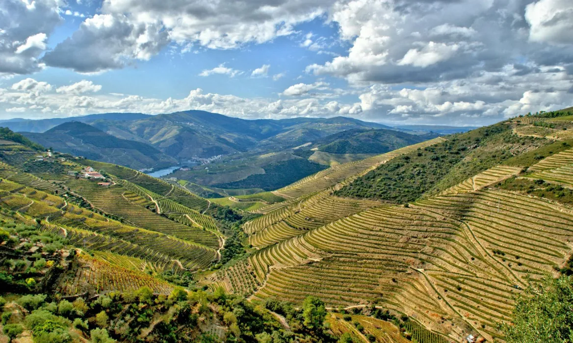 Vallée du Douro