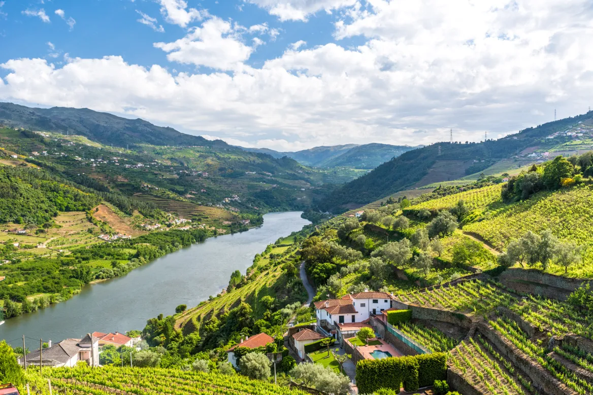 The Douro Valley Photo: AdobeStock Simon Dannhauer
