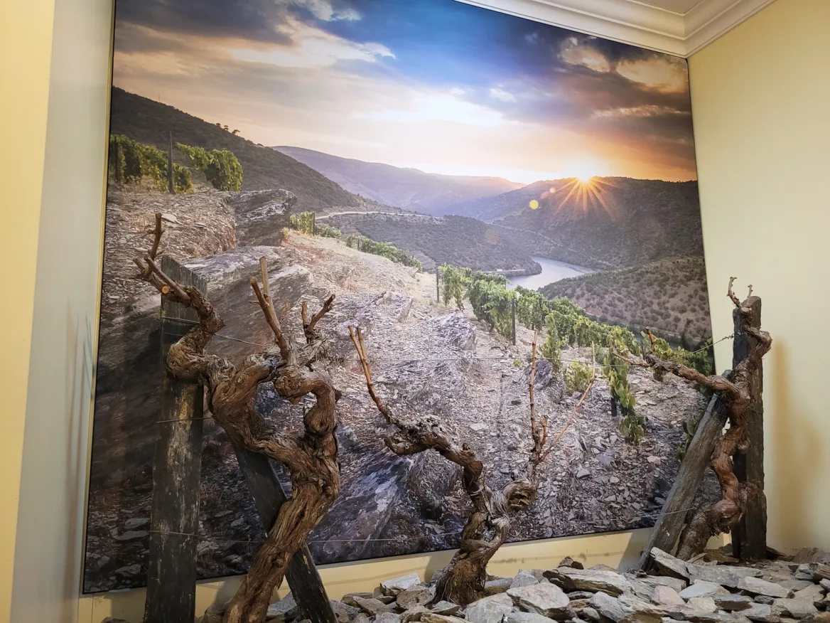 Explanations on Porto grape varieties