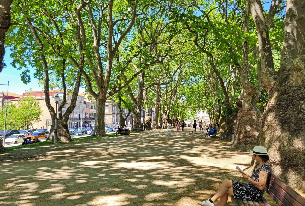 Garden of Cordoaria