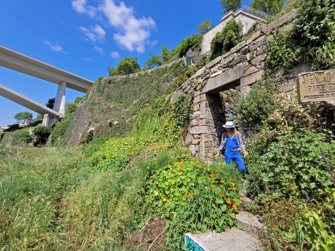 Jardins à Bonfim