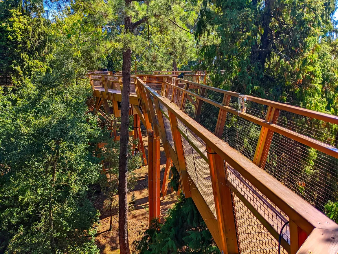Treet top walk Photo: Joyt Adobestock