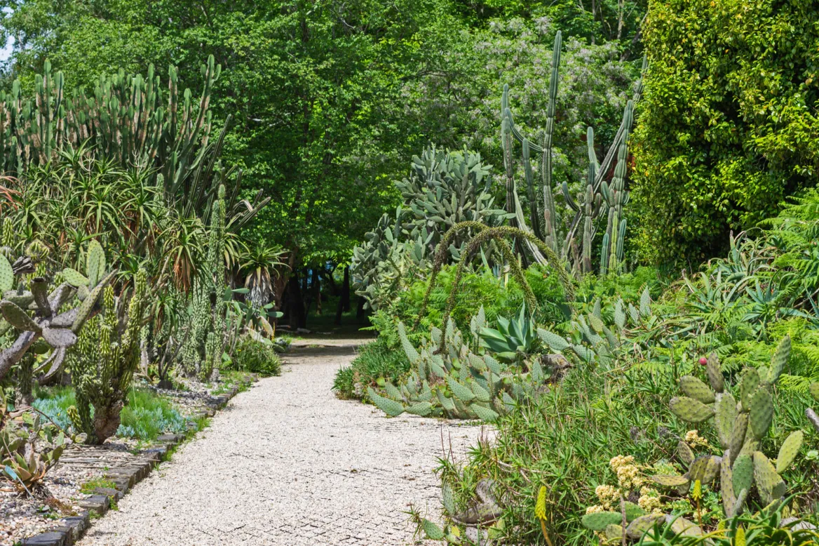 Porto Botanical Garden Photo: AdobeStock sanchacampos