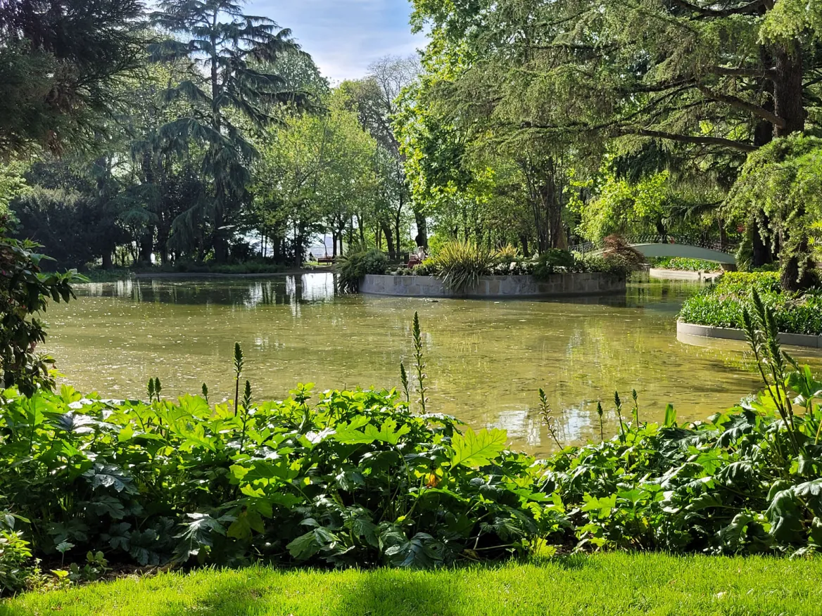 Crystal Palace Pools