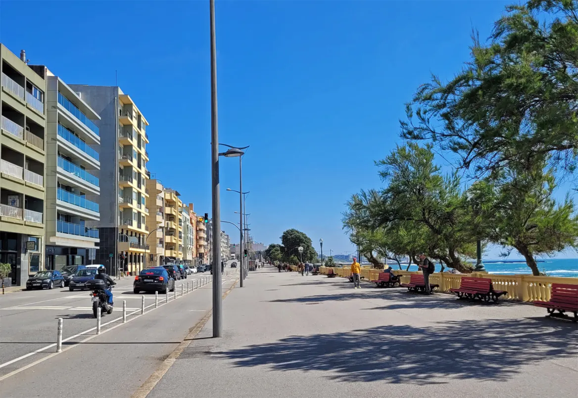 Brazil Avenue Foz do Douro
