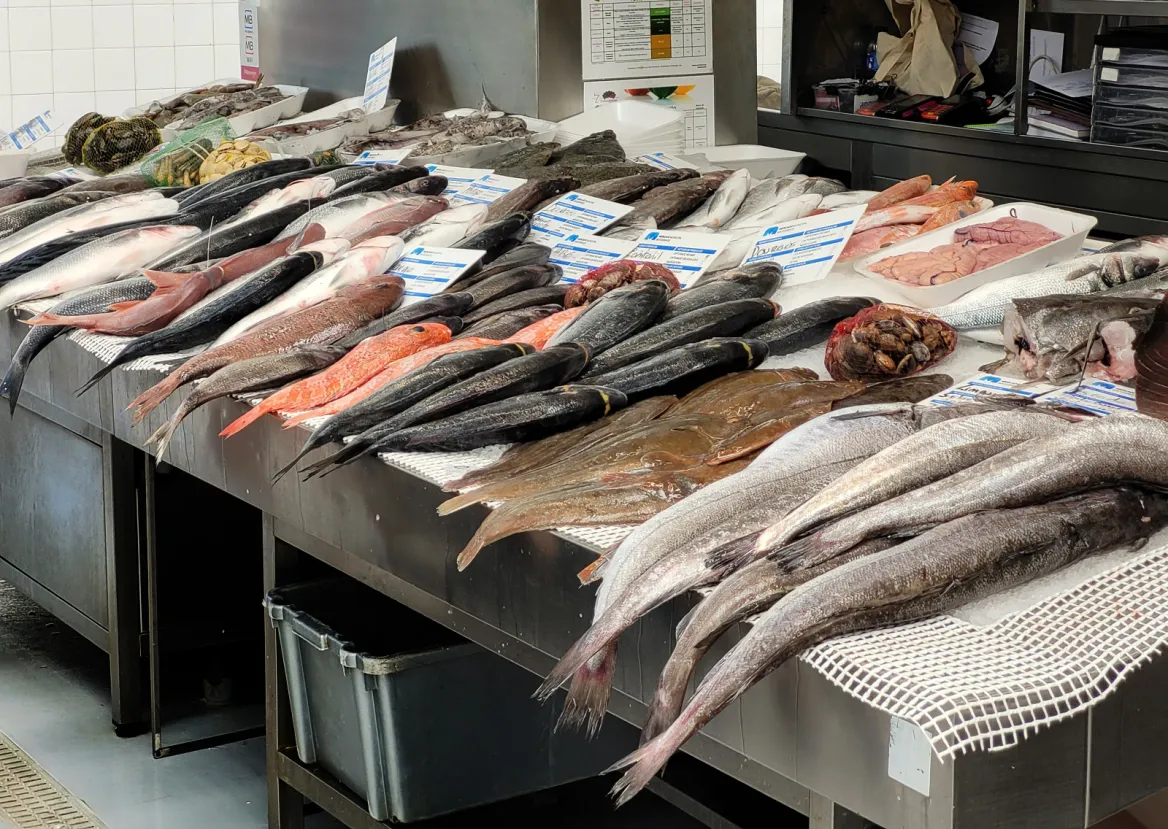 Fish at the Mercado Municipal de Matosinhos