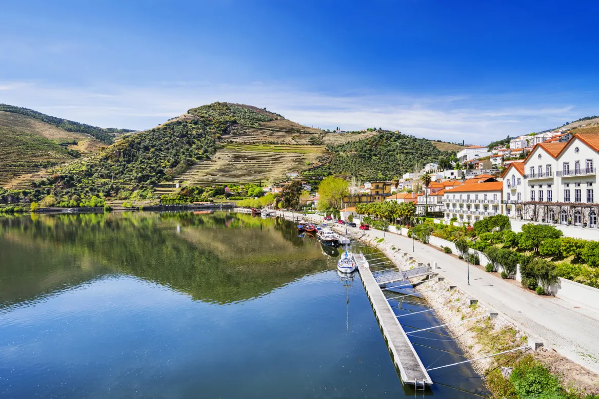 Pinhao Photo: AdobeStock kite_rin